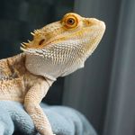 Profile Picture of Sabina Anna Alicea (@sabinabr0723) on Instagram