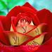 Profile Picture of Jaquline Modest (@Jaquline-Modest) on Facebook