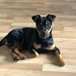 Profile Picture of Dexter Wayne Jimenez (@dexterwaynejimenez) on Instagram