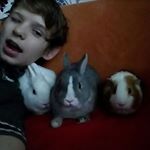 Profile Picture of Patrick Schumann (@patrick.schumann.391) on Instagram