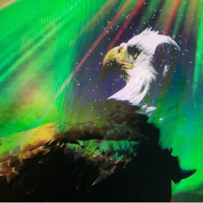 Profile Picture of Jeff Butts (@JB7Skye) on Twitter