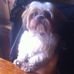 Profile Picture of Arty Mayne (@arty.mayne) on Facebook