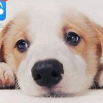 Profile Picture of Manda (@charis_amandaoof) on Instagram