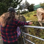 Profile Picture of Dominic Hull (@damohull) on Instagram