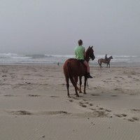 Profile Picture of Lisa Mars (@lisa-mars) on Quora