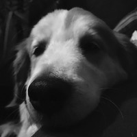 Profile Picture of Heather Chase (@heather-chase-17) on Quora