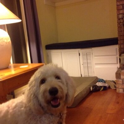 Profile Picture of Dan Johannes (@jdjohannes) on Twitter