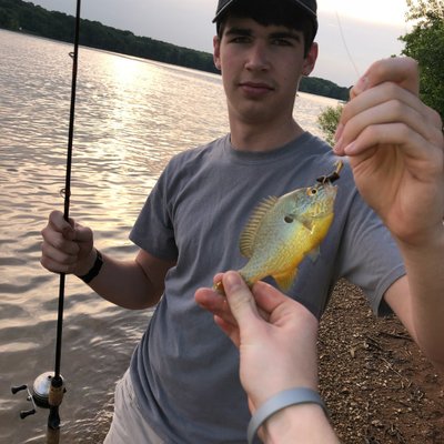 Profile Picture of Luke Thomas Schroder (@LukeThomasSchr2) on Twitter