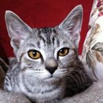 Profile Picture of Gerald Mcgrath (@gerald.mcgrath.37) on Instagram