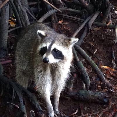 Profile Picture of Dustin Schade (@Dustin_sch31) on Twitter