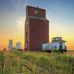 Profile Picture of Shannon Pfeifer (@shannon.pfeifer.5602) on Facebook