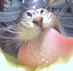 Profile Picture of Stiven Zapata (@Stiven-Zapata) on Facebook