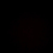 Profile Picture of Ryan Ramey (@ryanramey2211) on Youtube