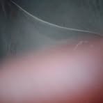 Profile Picture of Isaac Alerte (@Isaac-Alerte) on Facebook