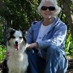 Profile Picture of Kathy Fletcher (@kathyfletcher8933) on Instagram