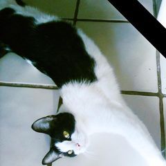 Profile Picture of jameshess97 (@james.hess1) on Tiktok