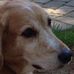 Profile Picture of Hillary Post (@Hillary-Post) on Facebook