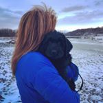 Profile Picture of Lori Blohm (@blohmlori) on Instagram