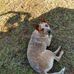 Profile Picture of Andrew Peeples (@andrew.peeples.35) on Facebook