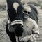 Profile Picture of Lone Pedersen (@lone.pedersen.9693) on Facebook