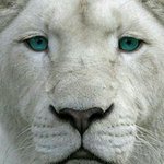 Profile Picture of Steven Hudson (@hudster2321) on Instagram