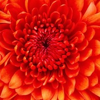 Profile Picture of Stacy Jack (@stacy-jack-1) on Quora