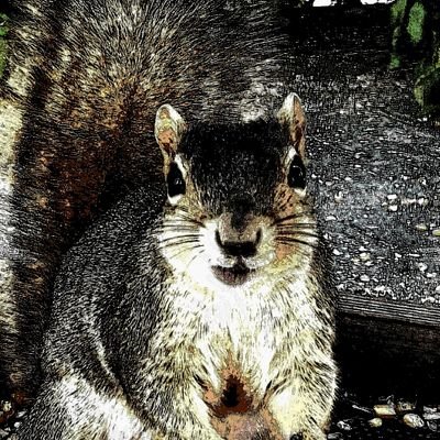 Profile Picture of Rebekah Kloeppel (@KleptoBek02) on Twitter