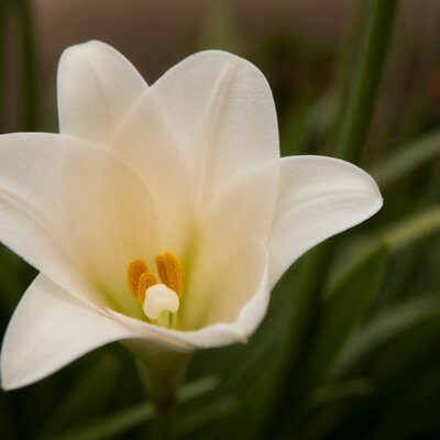 Profile Picture of Michael Hare Photo (@MHarePhoto) on Twitter