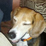 Profile Picture of Allan Palmer (@allanspalmer) on Instagram