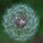Profile Picture of Ithankyougod (@ithankyougod) on Flickr