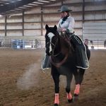 Profile Picture of Amanda Chmielewski (@chmielewski1231) on Instagram