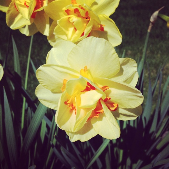 Profile Picture of Gretchen Phillips (@gretchenclare7) on Poshmark