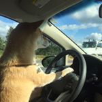 Profile Picture of Randolph Lopez (@randolph380) on Instagram