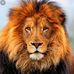 Profile Picture of André Carozzi (@andre.carozzi) on Facebook