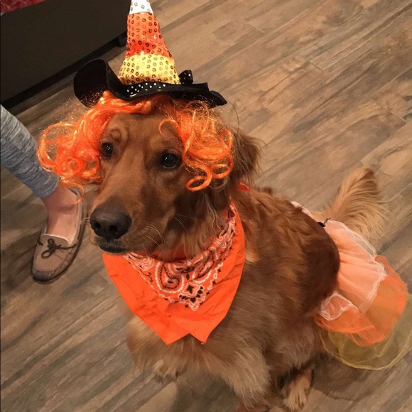 Profile Picture of Chris Ulanski (@demandski) on Poshmark