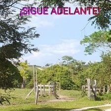 Profile Picture of Nancy Perdomo (@NANCYPERDOMO_) on Twitter