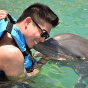 Profile Picture of Kevin Xia (@kevinxia5036) on Youtube