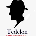 Profile Picture of Liang Qunmei (@tedelon.huang2) on Instagram