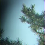 Profile Picture of ⚜️Ali⚜️ (@ali.schatzk) on Instagram