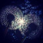 Profile Picture of daniel_simsz (@daniel_simsz) on Instagram