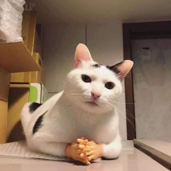Profile Picture of Marek Zakrzewski (@zakrzewskim) on Tiktok