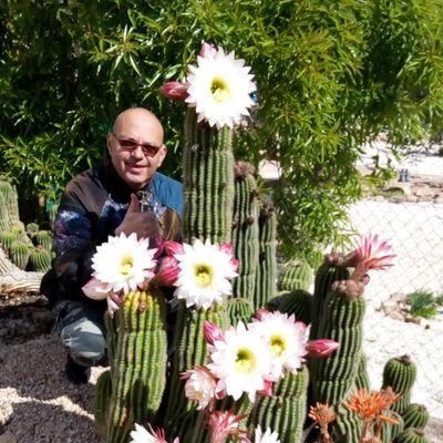 Profile Picture of Juanito Ortega Castillo (@JuanitoOrtegaC2) on Twitter