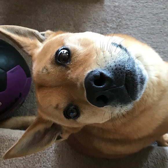 Profile Picture of Mia Manzanedo (@miamanzanedo) on Poshmark