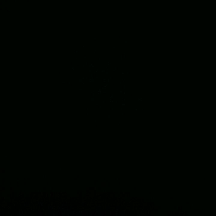 Profile Picture of NFS (@danielmicek) on Tiktok