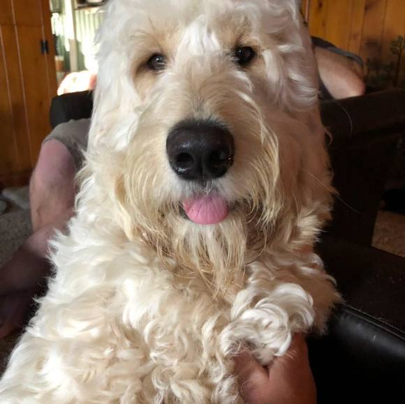 Heidi-jo Blodgett - Poshmark Profile Picture of Heidi-jo Blodgett (@heidijohnus) on Poshmark