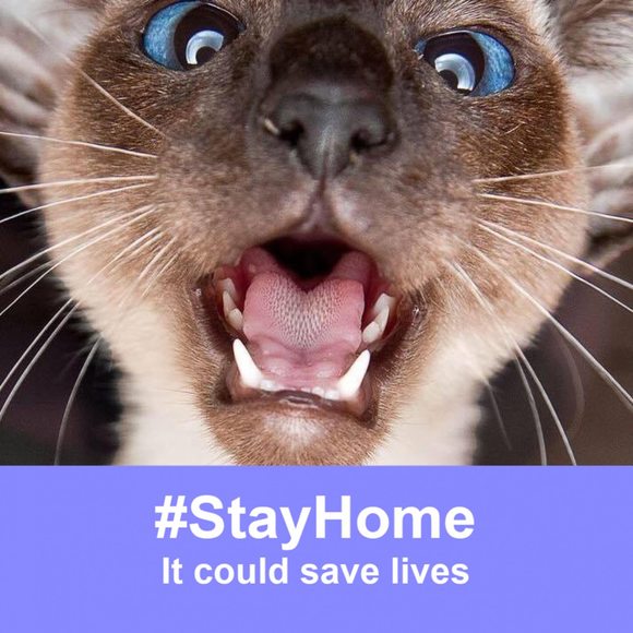 Profile Picture of Gustavo Aguirre (@guzyz) on Poshmark