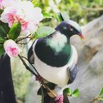 Profile Picture of Tracie Poole (@treyk47poole) on Instagram