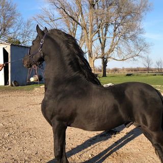 Profile Picture of Pablo Derueda (Kirkman Farm Dairy) (@pablo.derueda) on Facebook