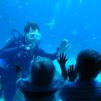 Profile Picture of Bryan Hausner (@bryan.hausner) on Facebook