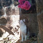 Profile Picture of Priyanka Pradeep Nambiar (@priyankapradeepnmbr) on Instagram